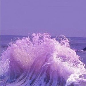 Meet your Posher, Kailee